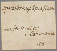 L 00067
<br/>
Label met opschrift
<br/>
<em></em>